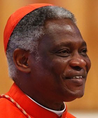Cardinal Peter Turkson headshot